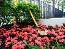 近地铁,单边位,装修保养好,采光好 景观好望花园