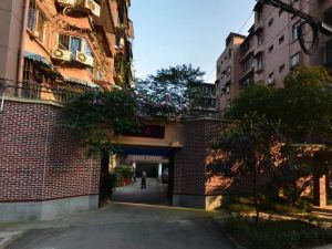 东新街4号 2室1厅 南