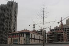 慧谷领御 毛坯三室 二楼 证过二 诚心出售 价格可议