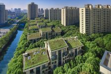 【中鹰黑森林11号】| 位于上海市普陀区新村路1717弄38号102的不动产