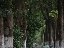 精装,家具全送 满五 新上房源