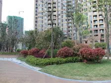 恒信中央公园 4室2厅 南