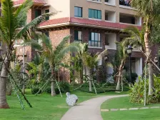 精装修 海湾雨林 电梯房 2室2厅 南北通透 85平 采光好