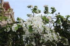 户型好,实用,朝南朝向,采光好,得房率高,格局合理