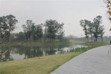 保利两河森林 5室2厅 西南