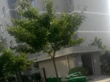 地铁口 中信嘉苑 视野开阔,大2房,通透好,随时看房