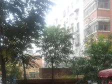 户型好 价位D 路过的点进来看看吧