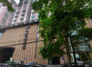 韭菜园 古玩城 电梯 复式楼 单价八千