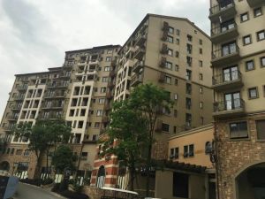 麓山国际SOLO2室2厅西北