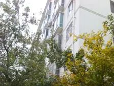 金色嘉园 1室1厅 东