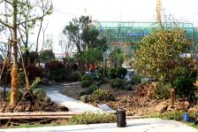 秀逸苏杭经典户型 楼层好 采光好 诚意出售