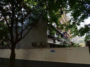 十五北街8号 2室1厅 南