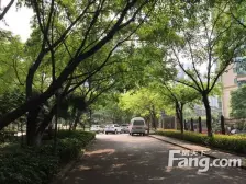 近龙湖近轻轨科技学院正规大两室电梯房