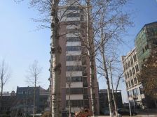 金宝双语东,客厅朝阳,拎包入住!适合养老过度