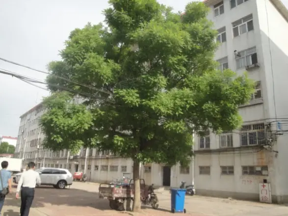 东上虞小区