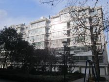 40年产权.面积大.单价低.适合办公出租