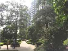 中高楼层 采光通透 户型方正 价格优惠