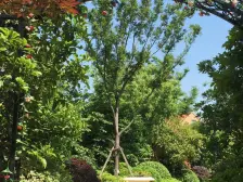 大华兰湖天境 5室3厅 南 北