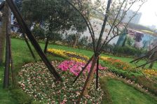 香山长岛 3室1厅 东南