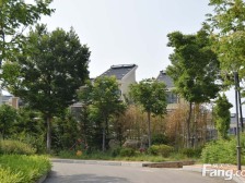 联排,前后楼间距宽,上下三层,带南北院子,无地下