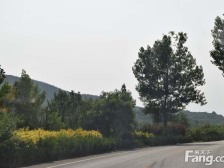 清泉明月山庄 4室3厅 南 北