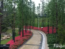 龙洲湾商圈,万达旁,中交品质小区,看房方便