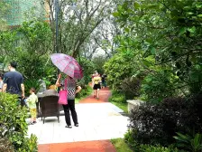 鲜有一楼复式户型,实用高3+1 房