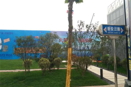 ÎÄÒ»ÃûÃŹ㳡 1ÊÒ 1Ìü 33.32ƽÃ×