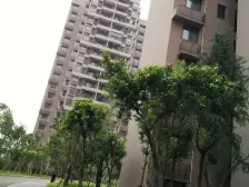 江北区 体育公园旁 配套成熟 住家安静