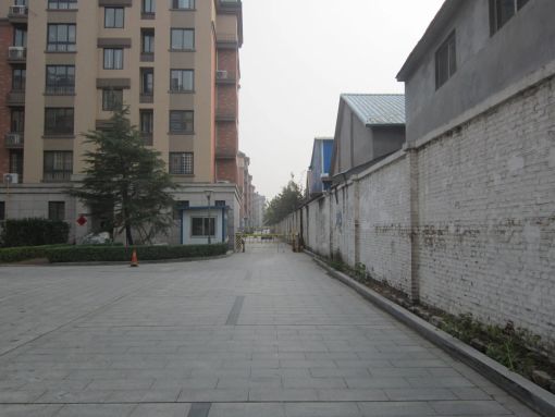 鲁发名城3室2厅2卫南北朝向1000.00元/月出租