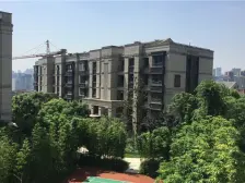 大花园 绿地海外滩 251.61平4居 南向 毛坯 着急出售