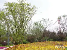 石马河 华美翡丽山四期二房