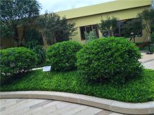 华润万象城商圈,华润公园,中隐小,中合格间楼层