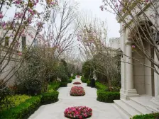 龙盛 绿城两江御园玫瑰园三房454.5万