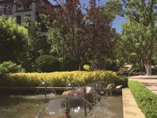 精装修,小区环境优美,品质小区,车库入户!