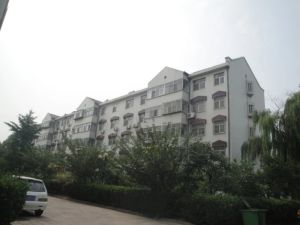 北海路坊子农信宿舍精装电梯洋房价格可以商量看房方便