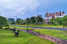 金地城南艺境 4室2厅 东南