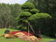 奥园观澜誉峰全新毛坯别墅,按揭满2年,看房随时方便