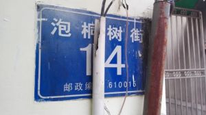 泡桐树街14号 2室2厅 东南 南