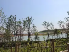 银基国际旅游度假区 4室2厅 南 北