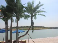 银基一期,湖语墅,产权清晰,业主着急卖