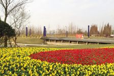 保利两河森林 4室2厅 西南