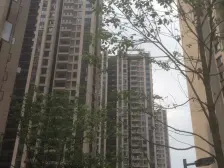 石坪桥 保利爱尚里尚佳三房
