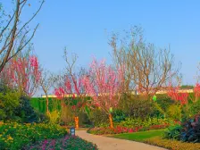 茶园新区 奥园越时代B区(雅典园)三房78万