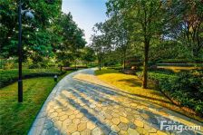 雅居乐富春山居 5室2厅 东南