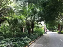 金地城南艺境 双拼别墅168平 诚心出售 看房方便