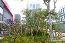 视野好’户型方正 楼层采光无遮挡,视野开阔