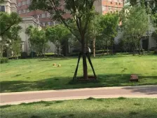 海河大观 8室3厅 东 西 北 南