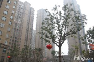 润地星城两室户型中间楼层拎包入住万达旁
