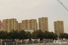 金辉枫尚 3室2厅 南